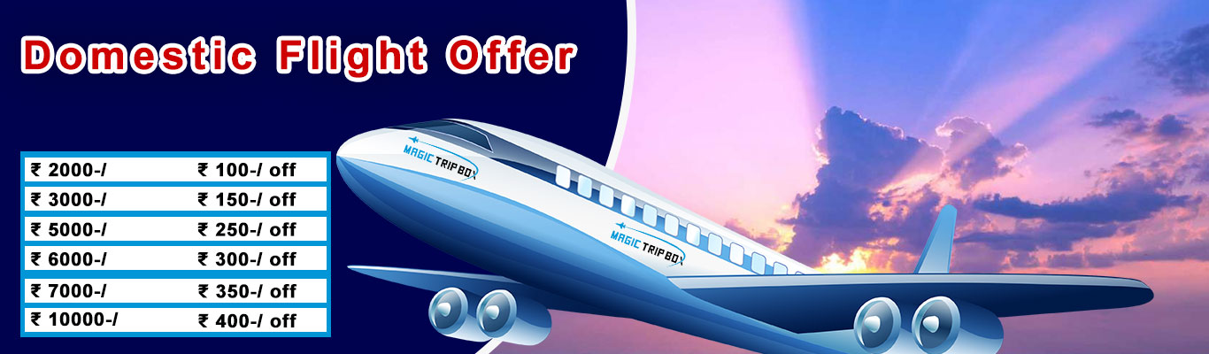 domestic flight offer